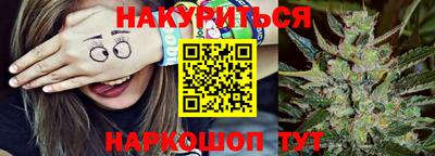 гидропоника Новозыбков