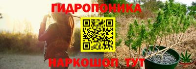 гидропоника Новозыбков
