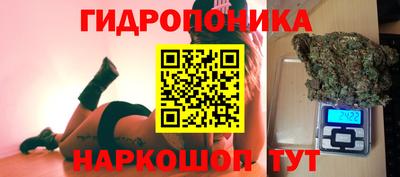 гидропоника Новозыбков