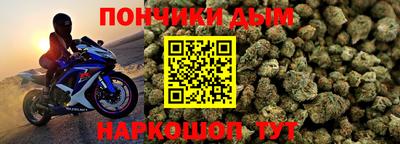 гидропоника Новозыбков