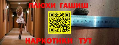 гидропоника Новозыбков
