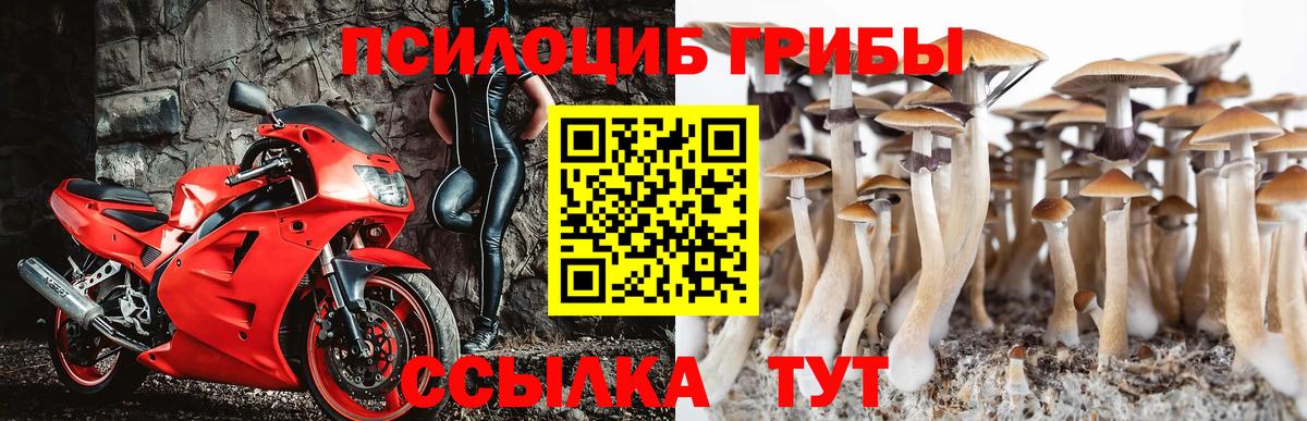 Псилоцибиновые грибы MAGIC MUSHROOMS Славгород