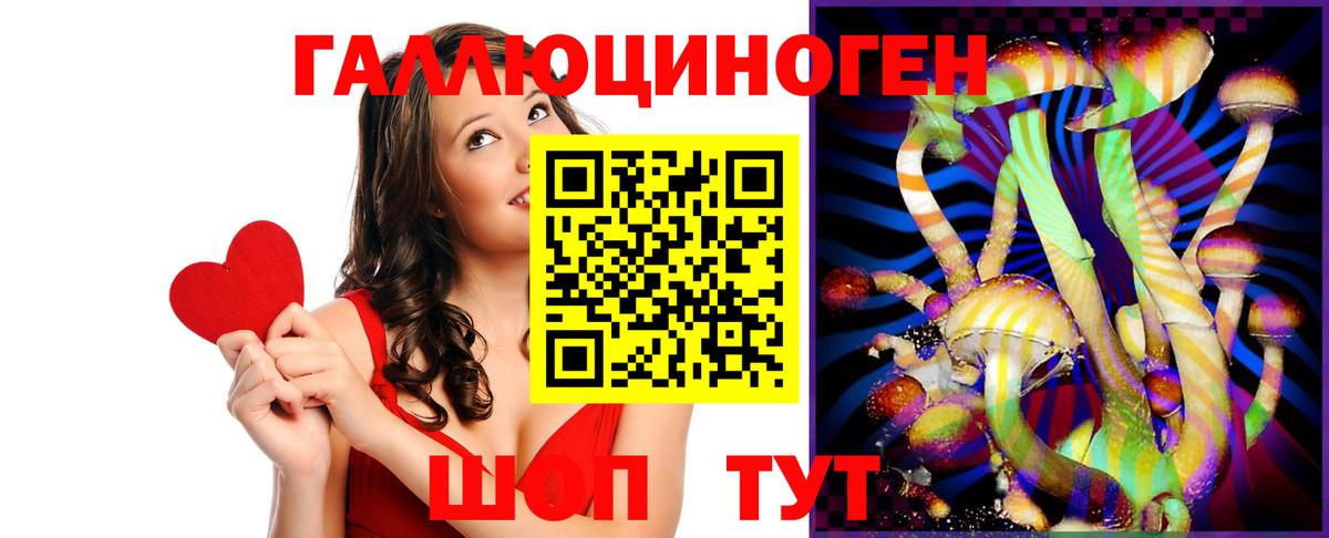 Галлюциногенные грибы GOLDEN TEACHER  Вход с VPN  Славгород 